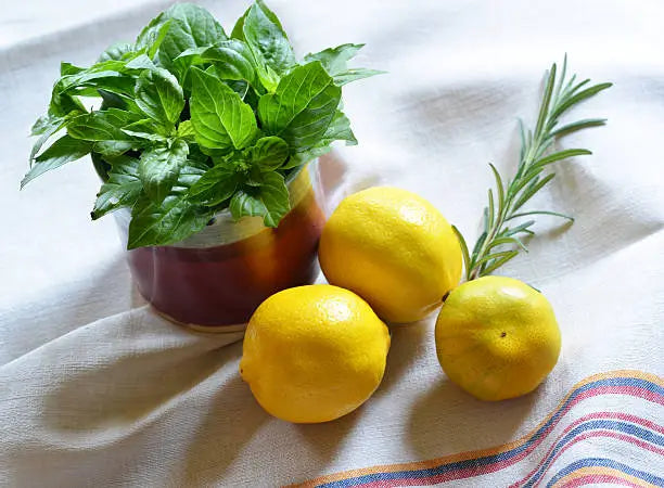 Green Botanicals