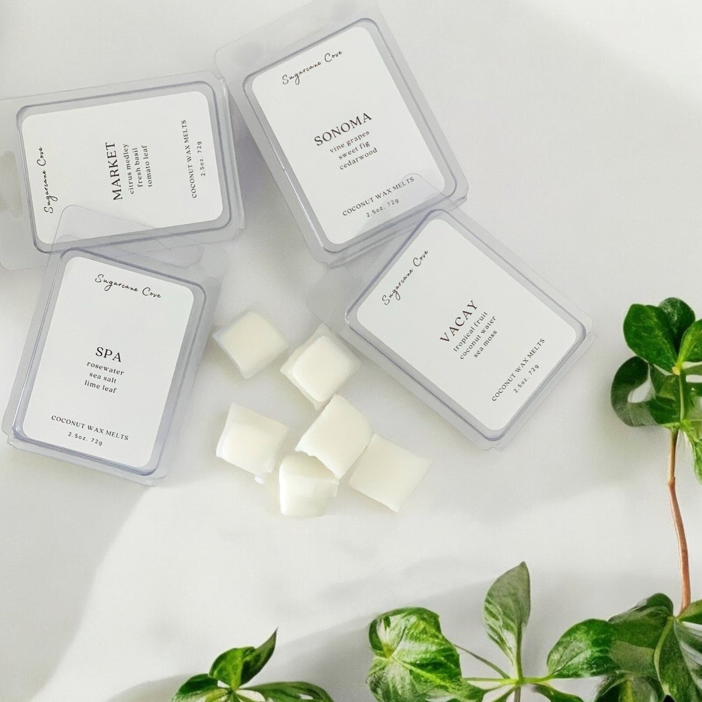 SPRING + SUMMER COLLECTION: Coconut Wax Melts